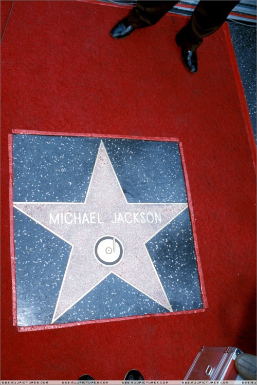 Hollywood Walk Of Fame 1984 (9)