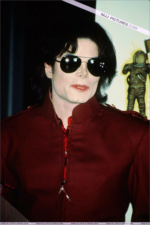 The 1995 MTV Video Music Awards Nominations (12)